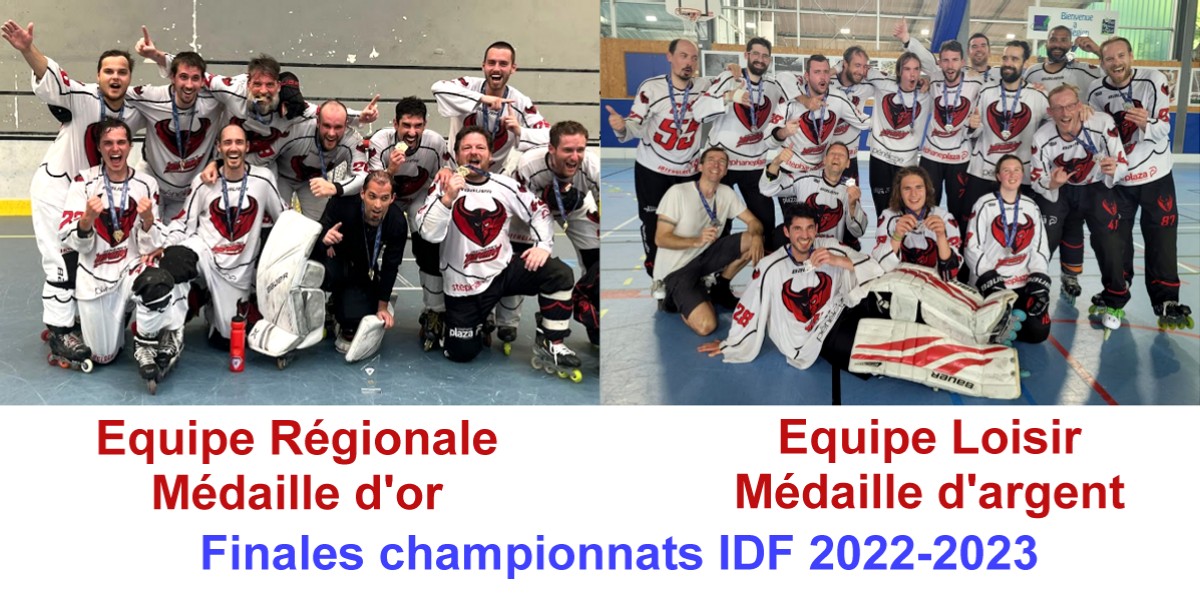 asnieres roller hockey finales loisir régionale