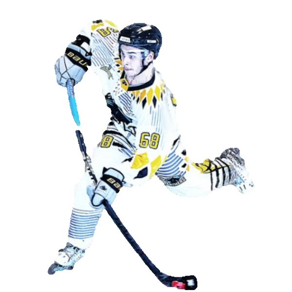 stage jeunesse roller hockey idf asnieres loic dury